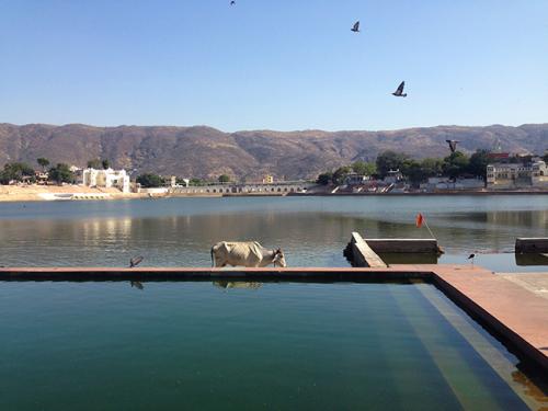 07-Sai pra dar um role-Ive Gaya-historias de viagem blog-turismo-india-pushkar